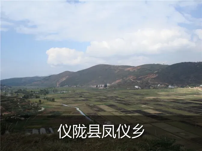 仪陇县凤仪乡
