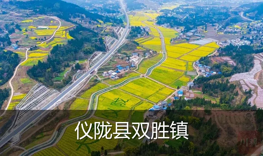 仪陇县双胜镇