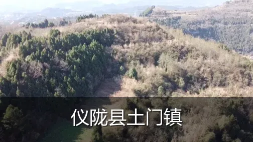 仪陇县土门镇