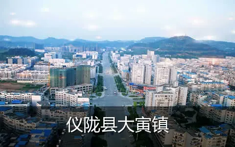 仪陇县大寅镇