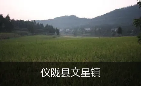仪陇县文星镇