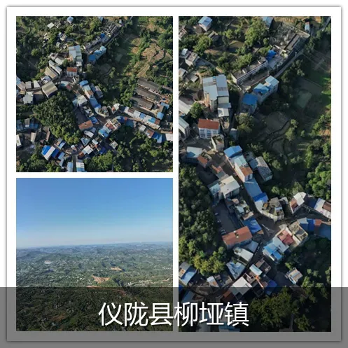 仪陇县柳垭镇