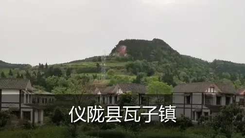 仪陇县瓦子镇